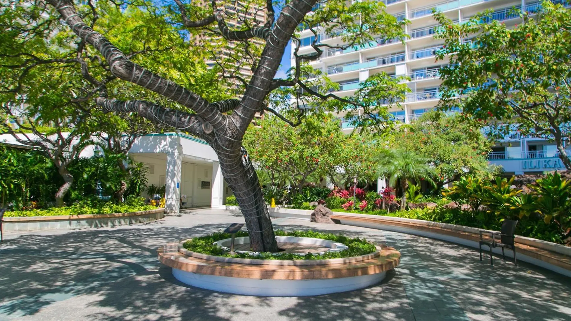 Ilikai Tower 1137 Yacht Harbor View 1Br Apartamento Honolulu